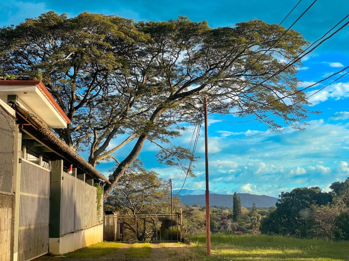 Zeus Guesthouse -Free Sjo Airport Shuttle La Garita (Alajuela) Exterior photo